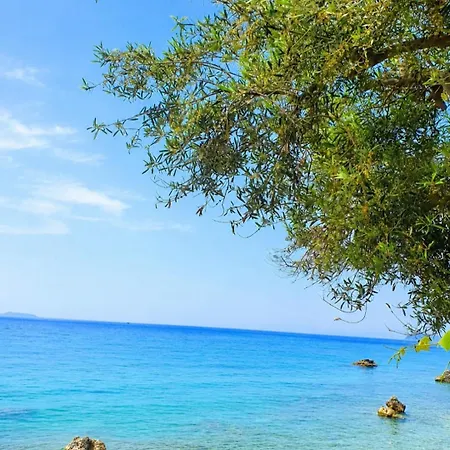 Wonderful Sea View * Borsh